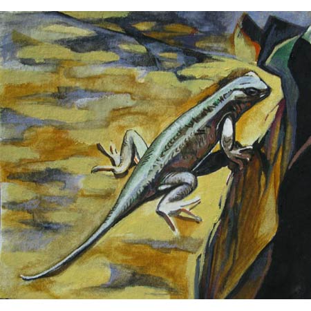 Lizard    |   watercolor/paper, 5x5in, 2008