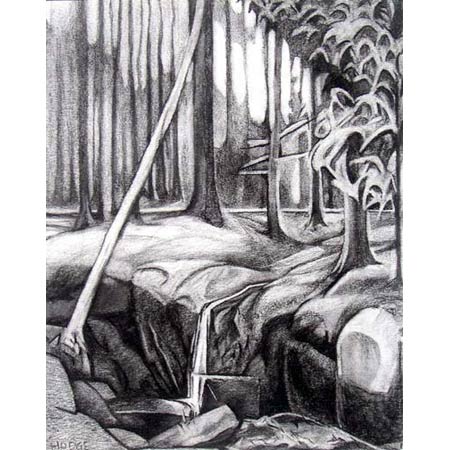 Waterfall   |   charcoal, 10x8in, 1998