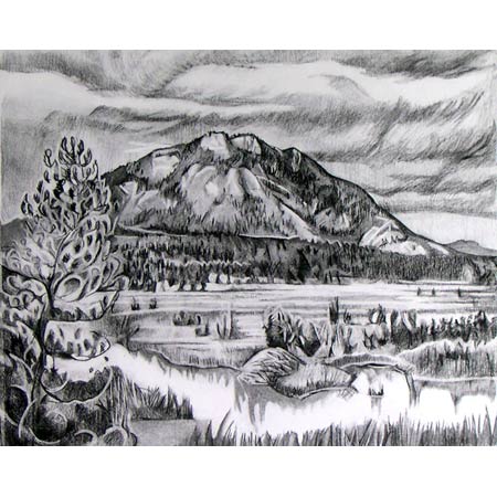 Beaver Housen   |   charcoal/paper, 18x24in, 1993