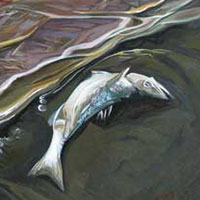 Poison Sea &nbsp; &nbsp; &nbsp; | &nbsp; &nbsp &nbsp; Oil/Canvas, 20x24in, 2013