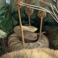 coil |   Oil/Canvas, 20x24in, 2026