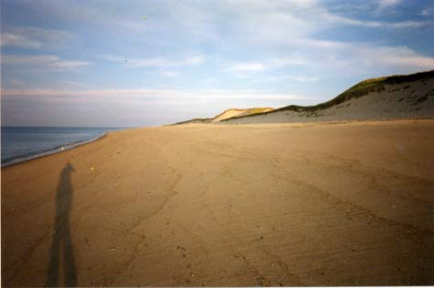 The shore, Cape Cod National Seashore Artist in Residence